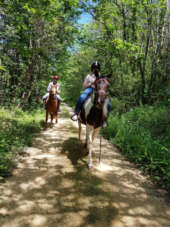 Gite Equestre Domaine Des Crins - Monpazier Capdrot Экстерьер фото