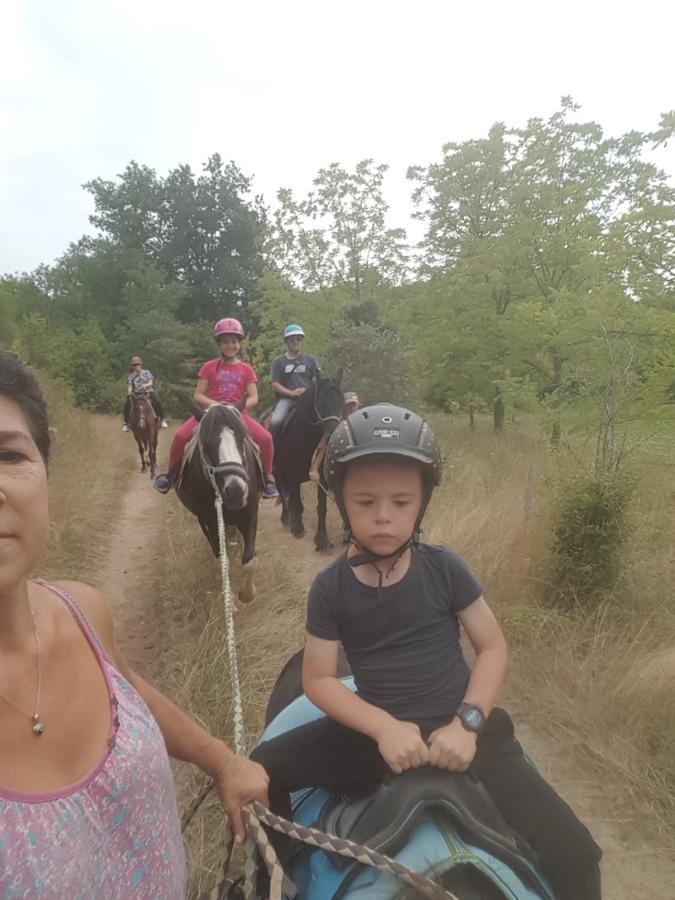 Gite Equestre Domaine Des Crins - Monpazier Capdrot Экстерьер фото