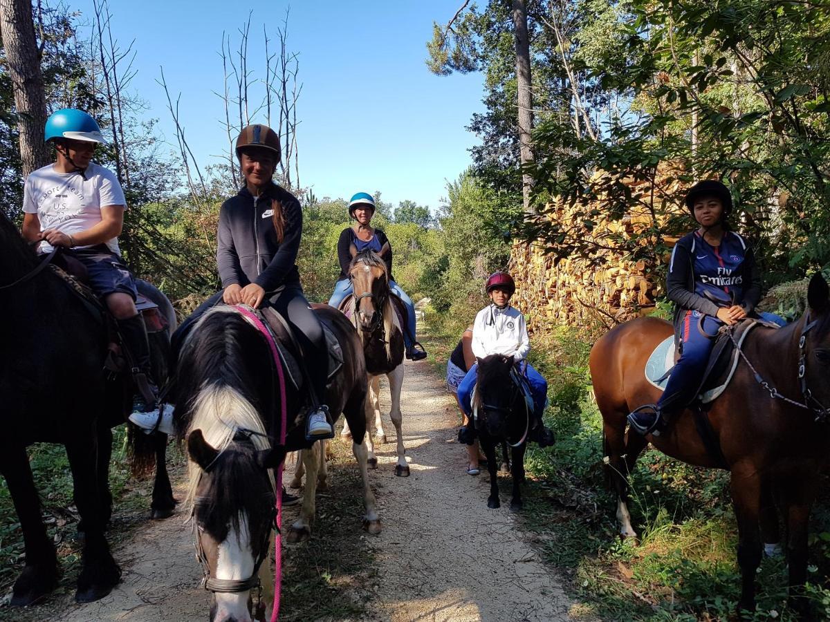 Gite Equestre Domaine Des Crins - Monpazier Capdrot Экстерьер фото