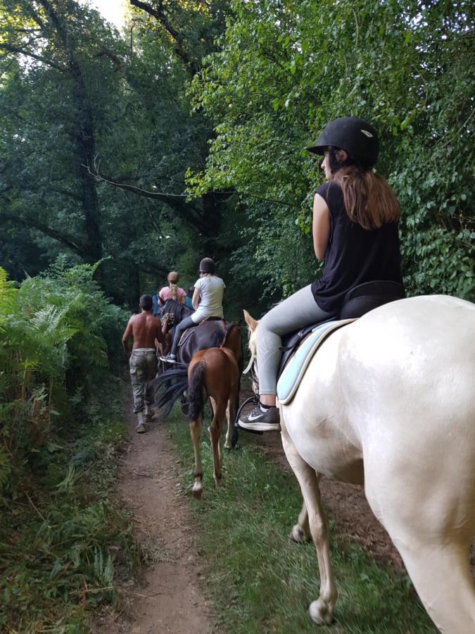 Gite Equestre Domaine Des Crins - Monpazier Capdrot Экстерьер фото