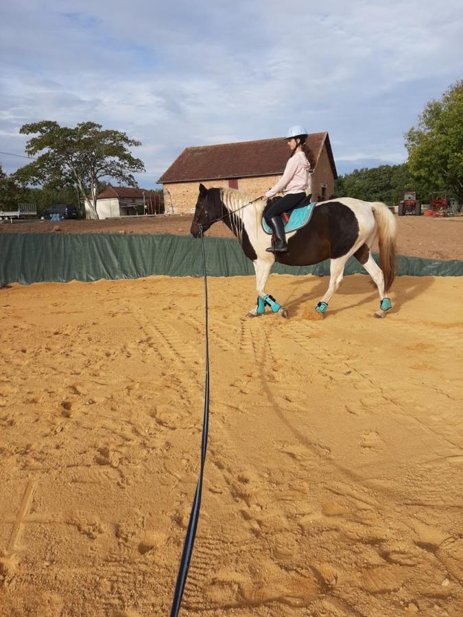 Gite Equestre Domaine Des Crins - Monpazier Capdrot Экстерьер фото