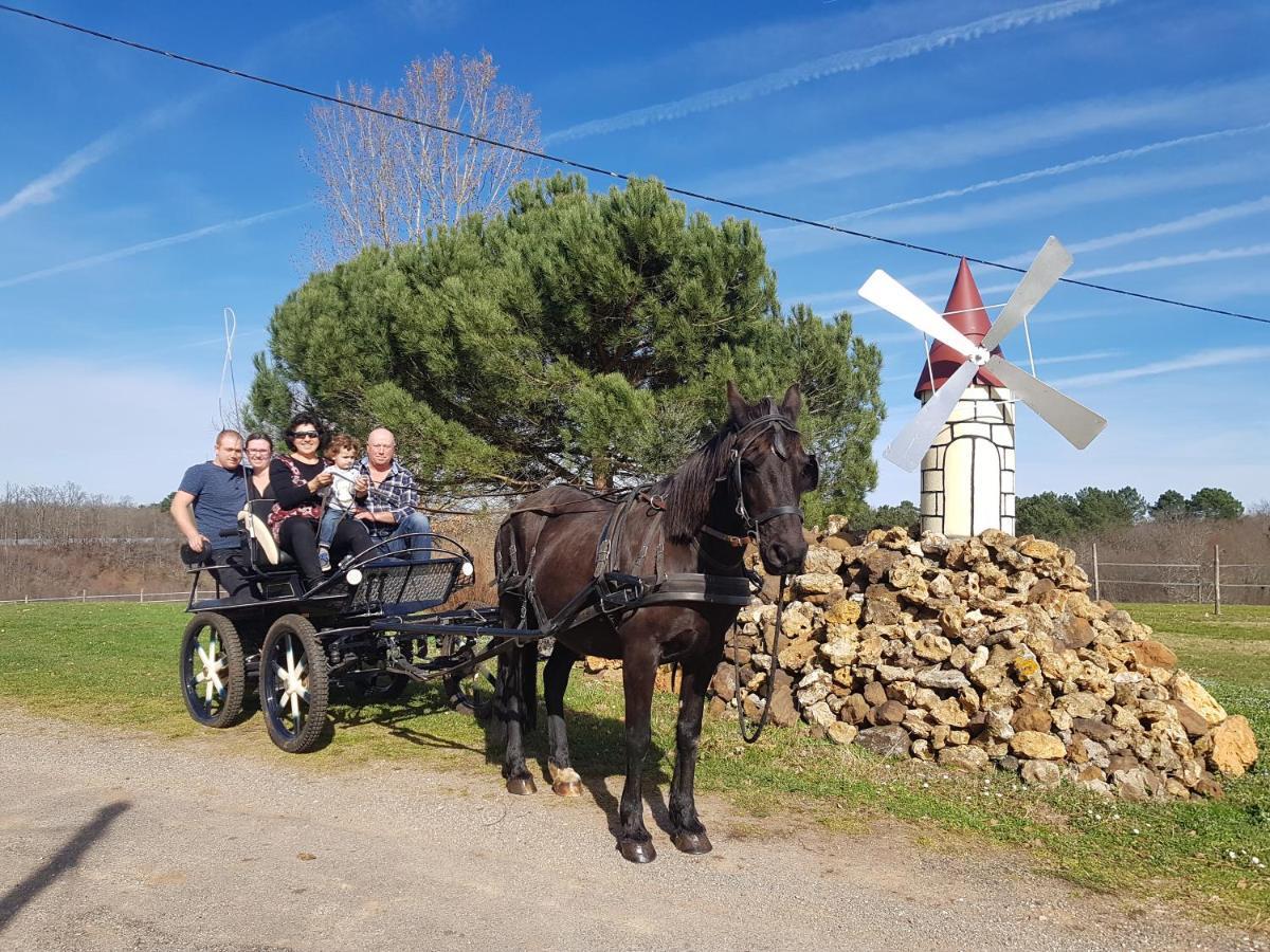 Gite Equestre Domaine Des Crins - Monpazier Capdrot Экстерьер фото
