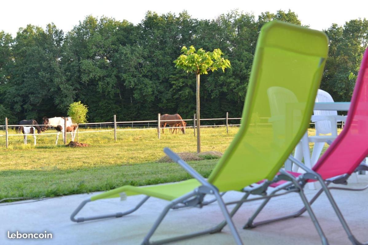 Gite Equestre Domaine Des Crins - Monpazier Capdrot Экстерьер фото